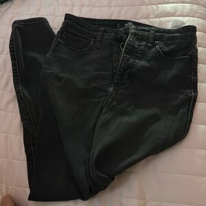 Black pants